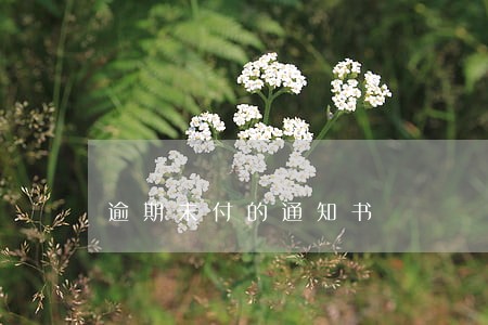 逾期未付的通知书 逾期未付的通知书