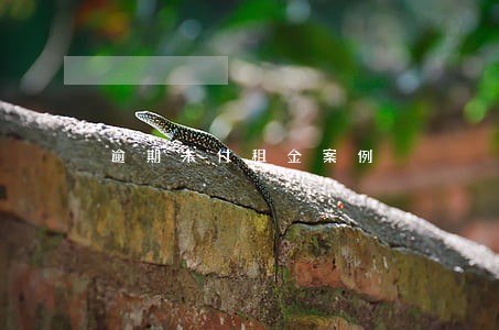逾期未付租金案例 逾期未付租金案例