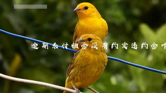 逾期未付租金没有约定违约金咋办 逾期未付租金没有约定违约金咋办