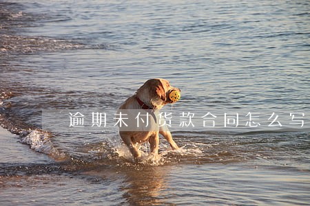 逾期未付货款合同怎么写 逾期未付货款合同怎么写