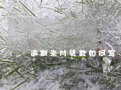 逾期未付货款如何写 逾期未付货款如何写