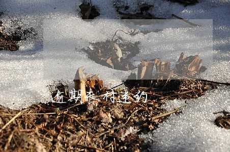 逾期未付违约 逾期未付违约