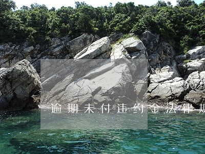 逾期未付违约金法律规定 逾期未付违约金法律规定