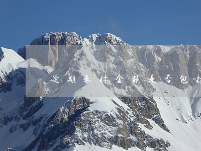 逾期未付金额是否包括利息 逾期未付金额是否包括利息