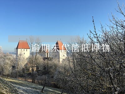 逾期未代偿抵押物 逾期未代偿抵押物