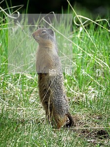 逾期未作出仲裁 逾期未作出仲裁