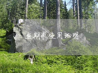逾期未使用证明