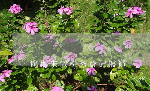 逾期未做税务登记报道