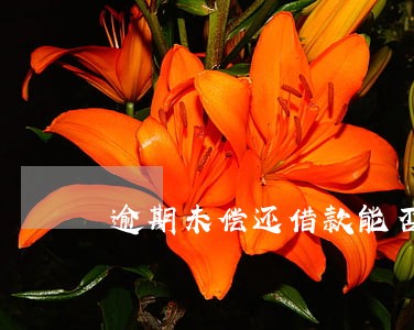 逾期未偿还借款能否以车抵债 逾期未偿还借款能否以车抵债