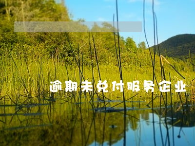 逾期未兑付服务企业 逾期未兑付服务企业