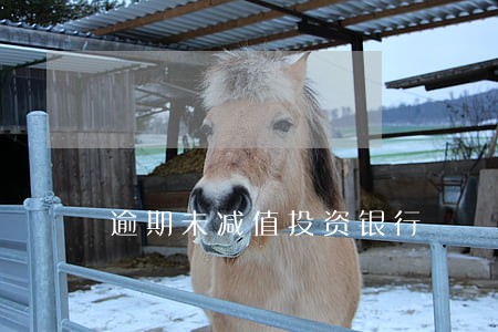 逾期未减值投资银行 逾期未减值投资银行