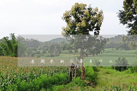 逾期未到后果是什么 逾期未到后果是什么