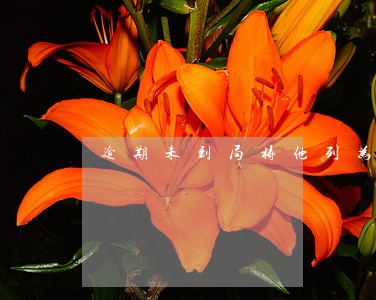 逾期未到局将他列为网上追逃 逾期未到局将他列为网上追逃