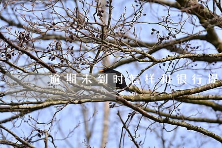逾期未到时怎样和银行提前沟通 逾期未到时怎样和银行提前沟通