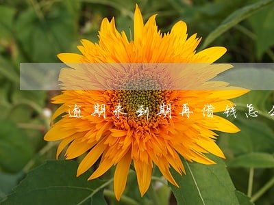 逾期未到期再借钱怎么办 逾期未到期再借钱怎么办