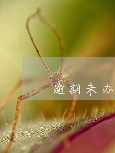 逾期未办房产证开发商违约金 逾期未办房产证开发商违约金