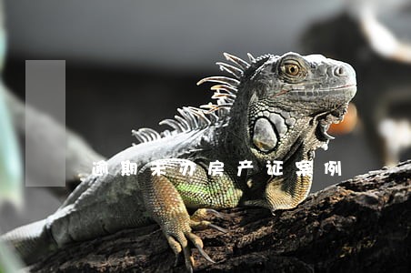 逾期未办房产证案例 逾期未办房产证案例