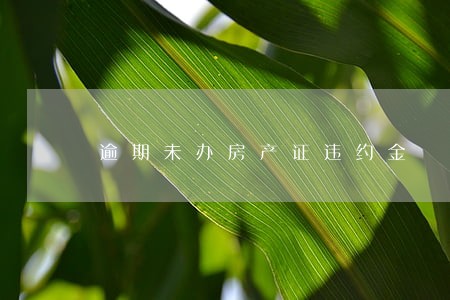 逾期未办房产证违约金 逾期未办房产证违约金