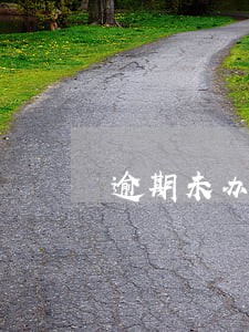 逾期未办理一般纳税人 逾期未办理一般纳税人
