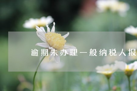 逾期未办理一般纳税人报价 逾期未办理一般纳税人报价