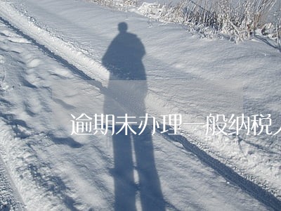 逾期未办理一般纳税人报税 逾期未办理一般纳税人报税