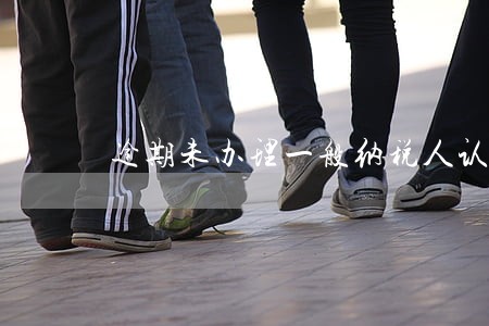 逾期未办理一般纳税人认定 逾期未办理一般纳税人认定