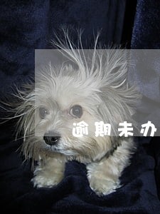 逾期未办理不动产证属于哪种 逾期未办理不动产证属于哪种