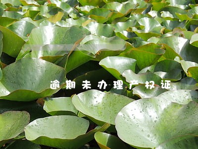 逾期未办理产权证 逾期未办理产权证