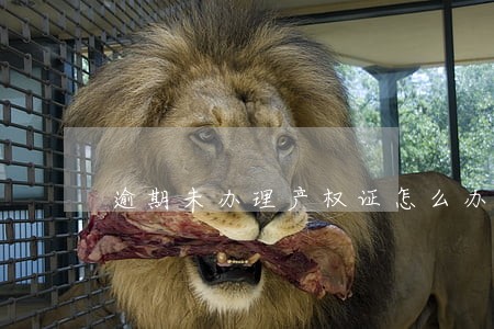 逾期未办理产权证怎么办 逾期未办理产权证怎么办