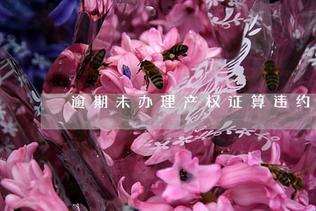 逾期未办理产权证算违约吗 逾期未办理产权证算违约吗