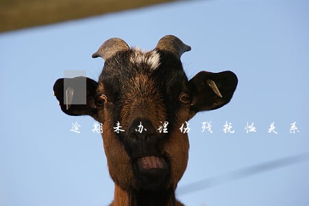 逾期未办理伤残抚恤关系转移