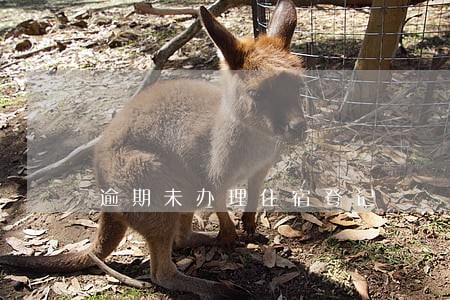 逾期未办理住宿登记 逾期未办理住宿登记