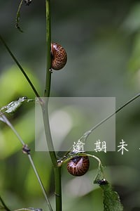 逾期未办理停供手续 逾期未办理停供手续