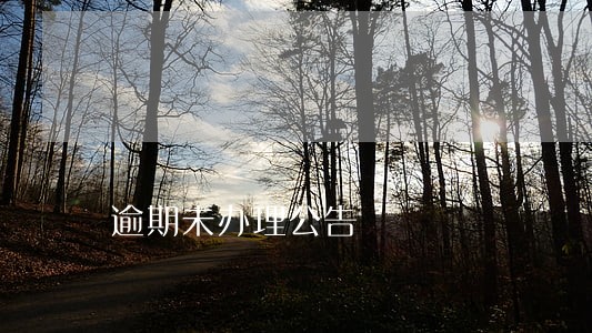 逾期未办理公告 逾期未办理公告