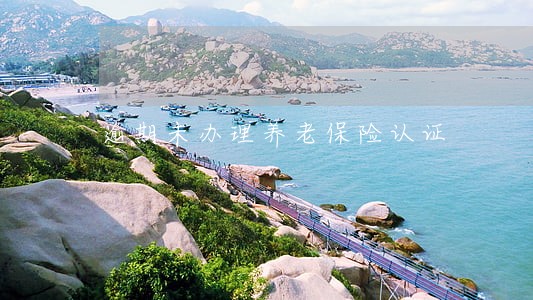 逾期未办理养老保险认证 逾期未办理养老保险认证