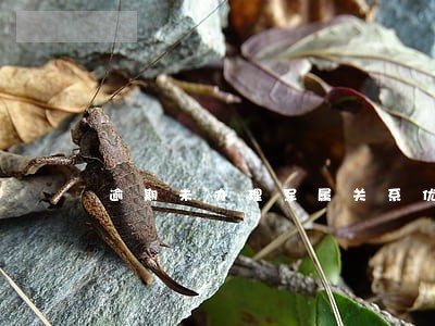 逾期未办理军属关系优待金发不发 逾期未办理军属关系优待金发不发