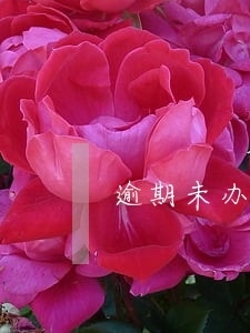 逾期未办理出口退税按内销 逾期未办理出口退税按内销