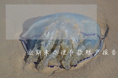 逾期未办理存款账户报告 逾期未办理存款账户报告