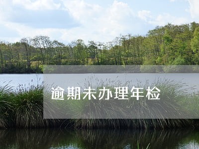 逾期未办理年检 逾期未办理年检
