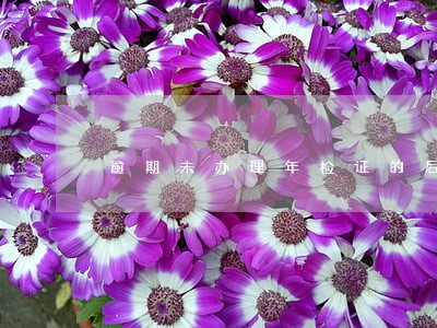逾期未办理年检证的后果 逾期未办理年检证的后果