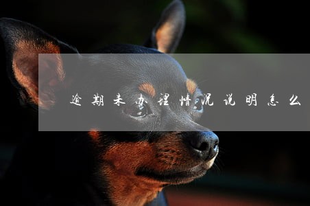 逾期未办理情况说明怎么写 逾期未办理情况说明怎么写