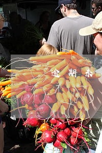 逾期未办理房产证开发商原因