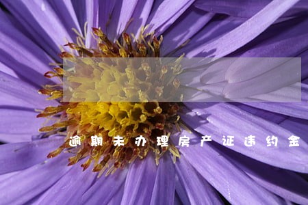 逾期未办理房产证违约金比例