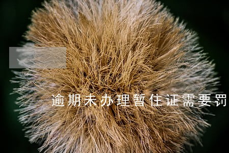 逾期未办理暂住证需要罚款吗 逾期未办理暂住证需要罚款吗