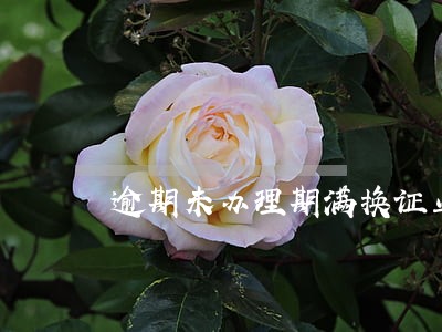 逾期未办理期满换证业务 逾期未办理期满换证业务