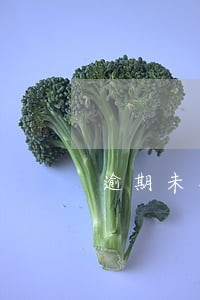 逾期未办理机动车网上选号 逾期未办理机动车网上选号