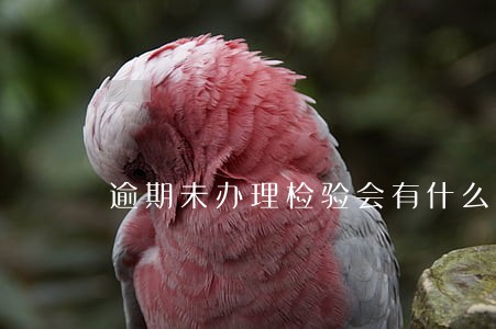 逾期未办理检验会有什么影响