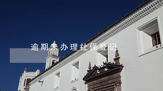 逾期未办理社保登记 逾期未办理社保登记