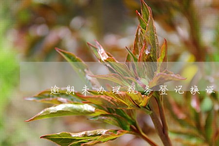 逾期未办理税务登记换证 逾期未办理税务登记换证