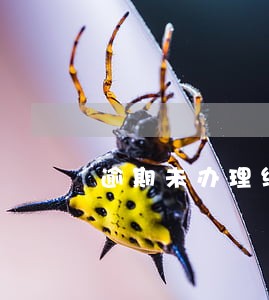 逾期未办理续冻手续的 逾期未办理续冻手续的